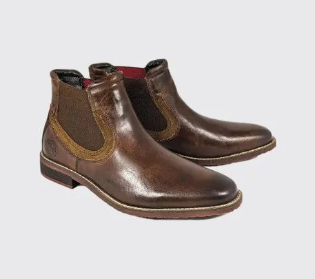 Dubarry -  Santos,  Tan