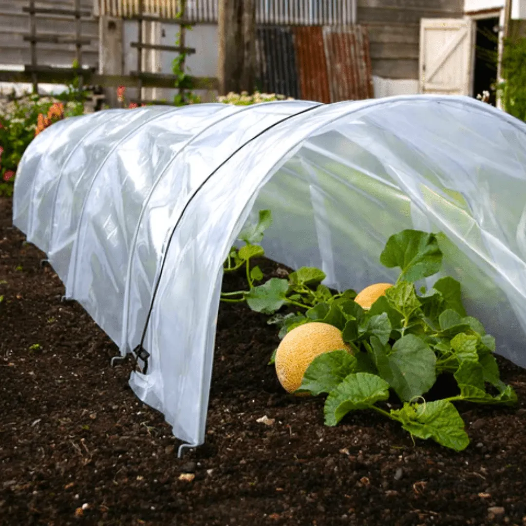 Easy Poly Tunnel
