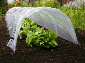 Haxnicks Easy Poly Tunnel 3m x 45cm