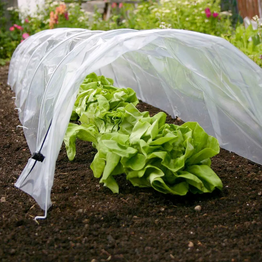 Haxnicks Easy Poly Tunnel