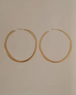 Lasso Earrings