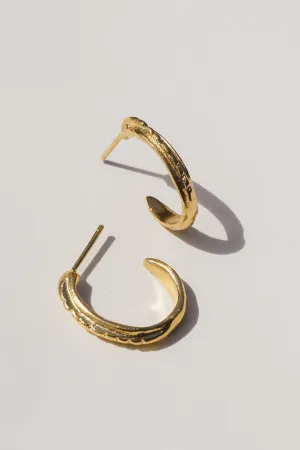 Raja Earrings