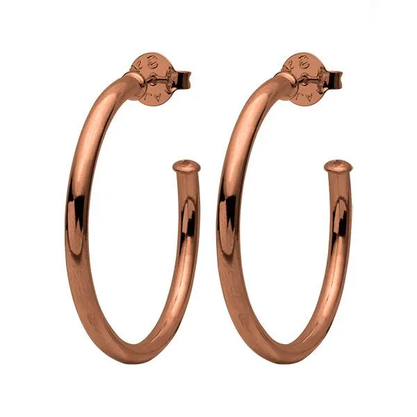 Shelia Fajl Small Everybody's Favorite Hoops